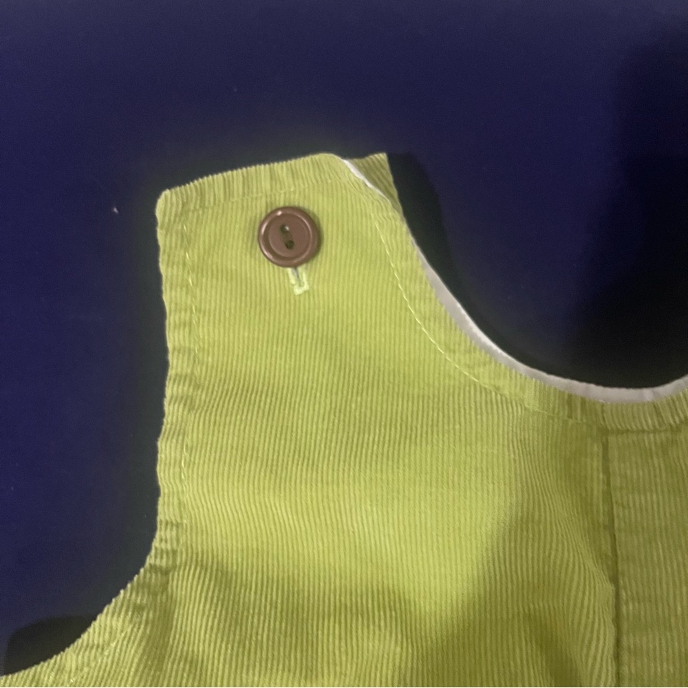 Funtasia Too Boy Baby Green Overalls Corduroy Dog And Doghouse Appliqué 18m - Picture 3 of 6